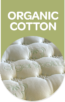 Organic Cotton-2